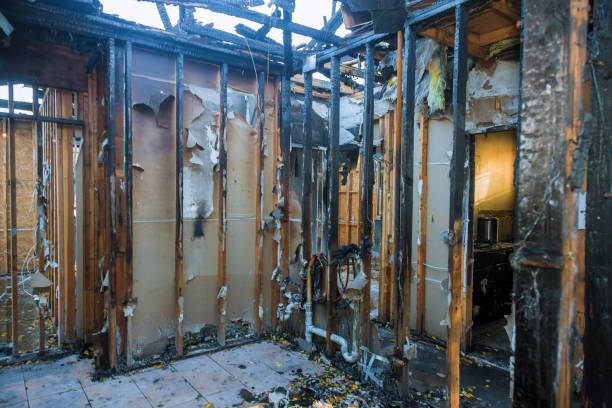 Professional Odor Removal technician working in Clinton, WA