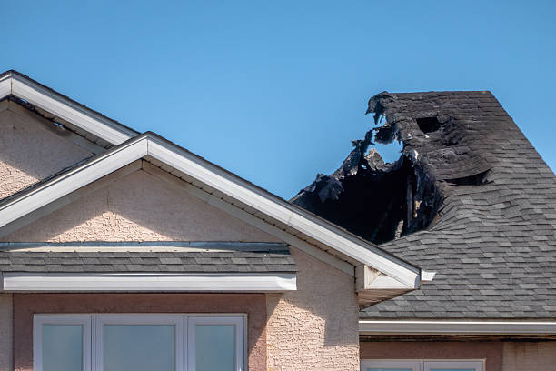 Top rated local Odor Removal specialists in Clinton, WA